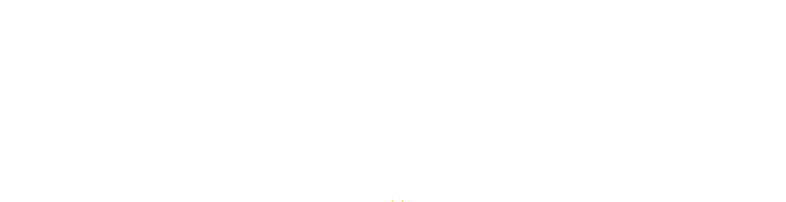 logo API88